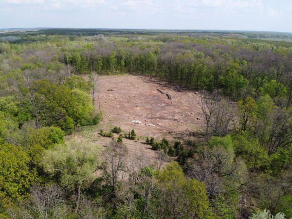 Jacksonville Land Clearing
