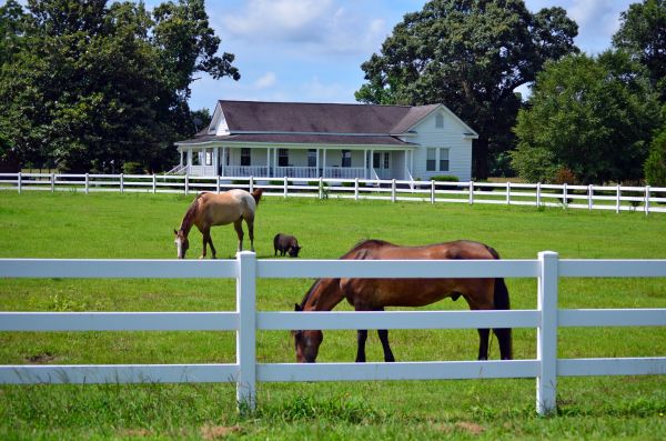 Jacksonville Fence Service
